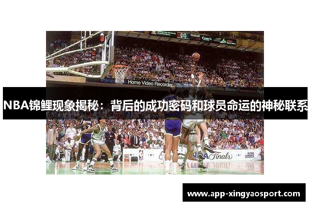 NBA锦鲤现象揭秘：背后的成功密码和球员命运的神秘联系