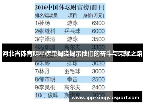 河北省体育明星榜单揭晓揭示他们的奋斗与荣耀之路